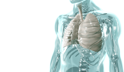 The image shows a glass body containing a lung highlighted in white. It is the key visual for the Biolitec Thoracic Surgery application.